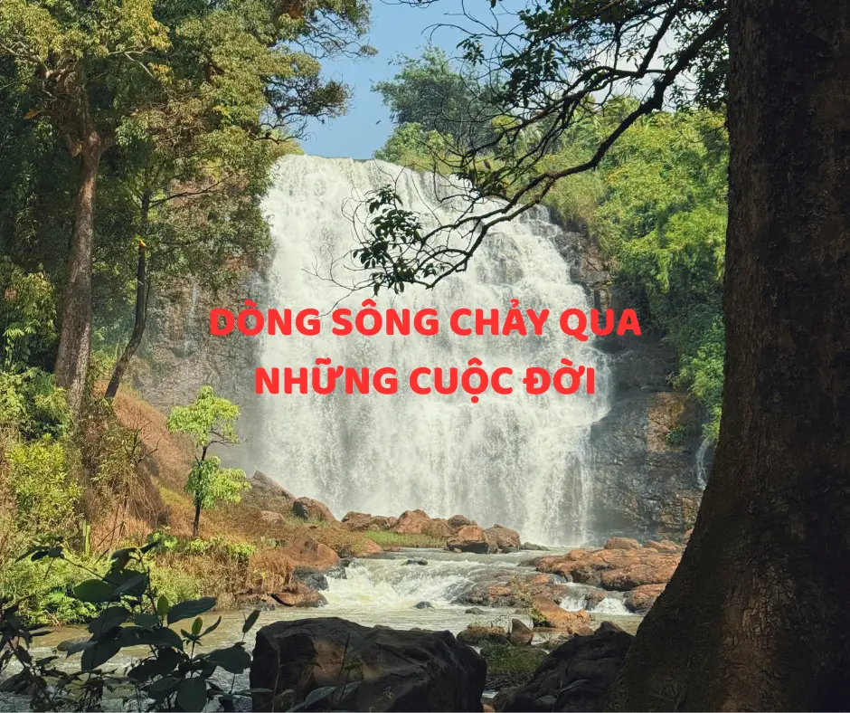 Dòng sông chảy qua những cuộc đời-1768916931167.webp