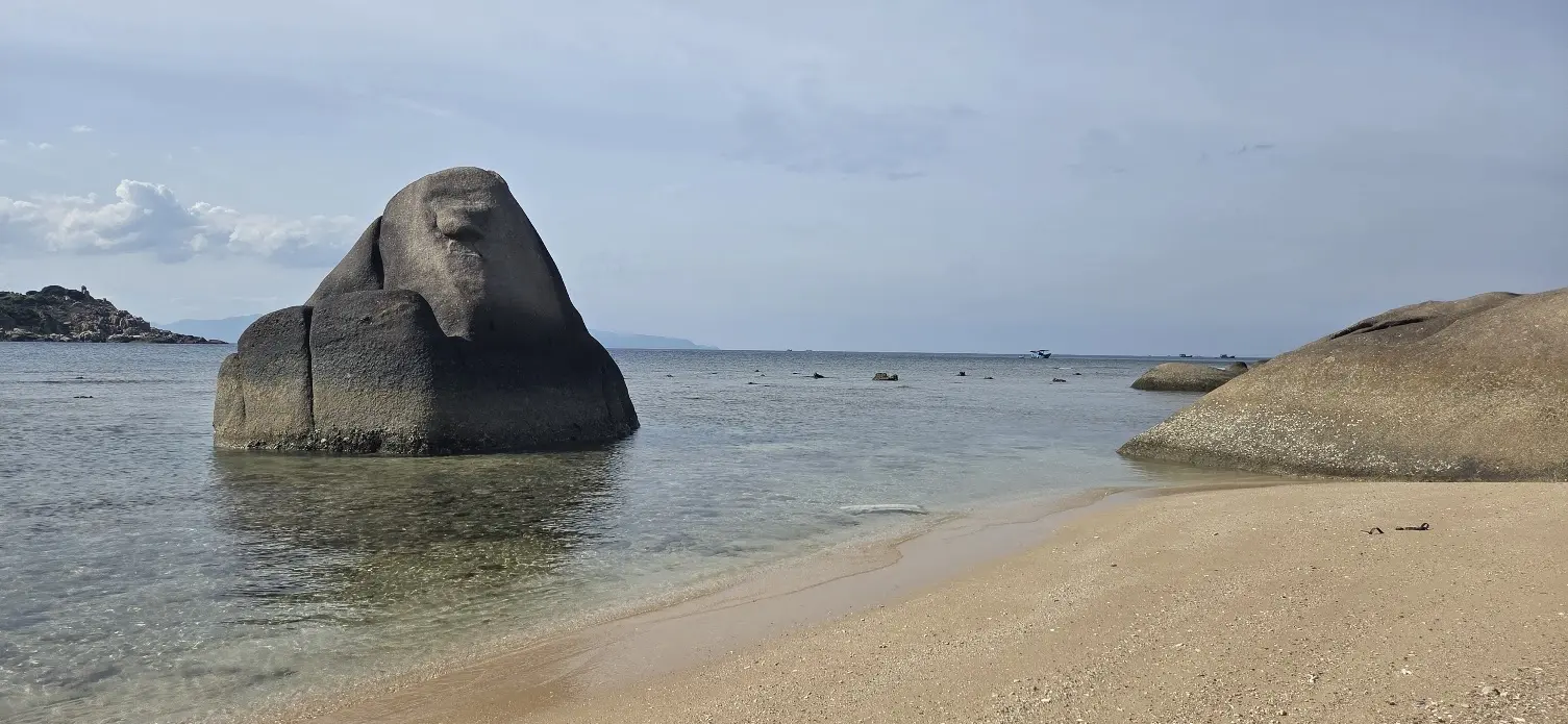 WC25 - 11-1763109317100.webp