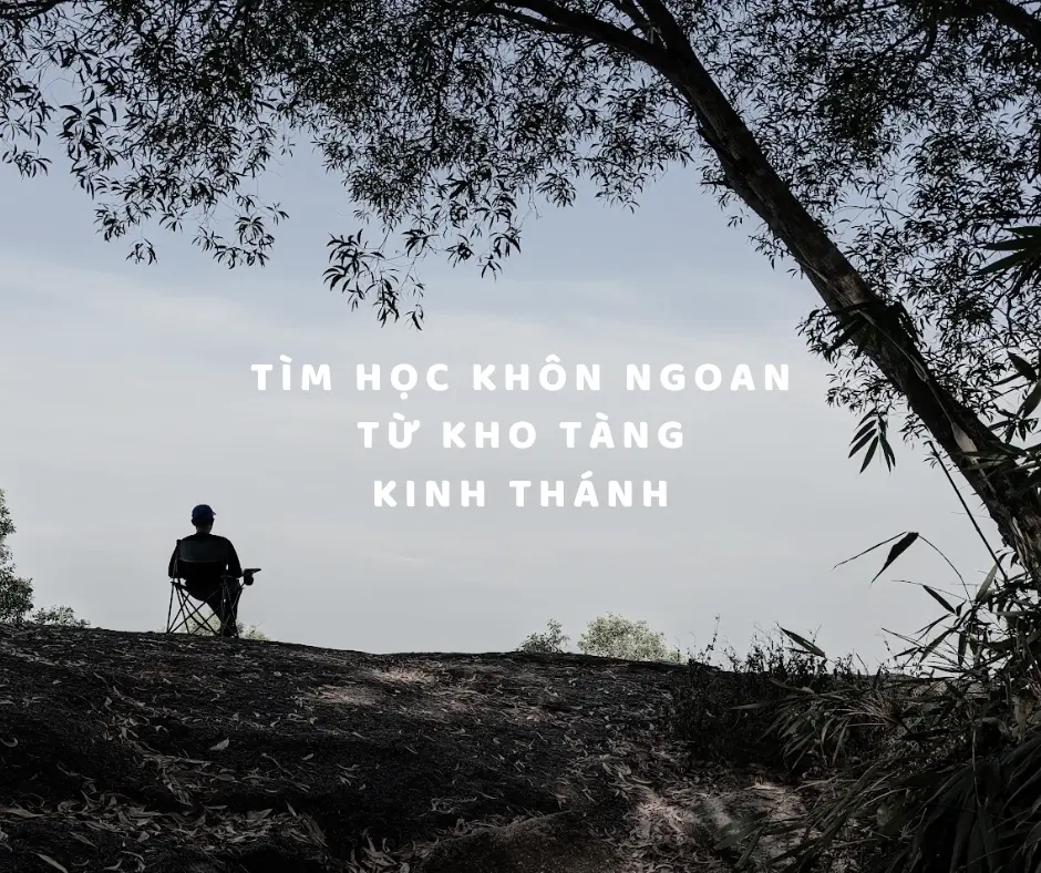 WC25 - 16-1766243718960.webp