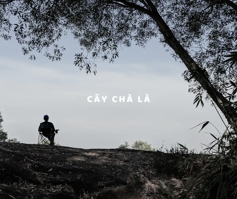 WC25 - 17-1766396746111.webp